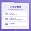 프로젝트 파이브 이미지