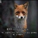 불여우