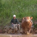 남해는, 지금 이미지