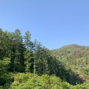 시골반찬 - 군산시 삼학8길 26 | 시골반찬