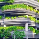 조경기능사 이미지