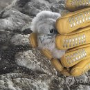 북부천변 이미지