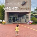 반디랜드 곤충박물관 | 무주 아이와 가볼만한 곳, 무주 반디랜드 곤충박물관 관람 후기