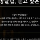 해방클럽