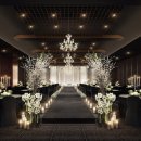 웨스턴베니비스 이미지