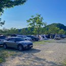 삼화리 동광 캠핑장 이미지