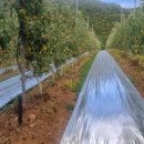 오진농장 이미지