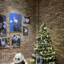 전지적 돼지시점 | 전지적독자시점 팝업 카페 알베르 방문 후기