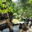 운정민박 이미지