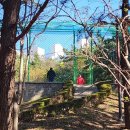 장산 축구장 이미지