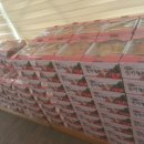 천중농장 이미지