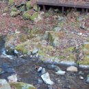 도원펜션 이미지