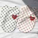 잘나가는 강아지 이미지