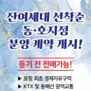 동포항호