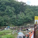 송이용소 이미지