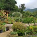 문경숲속정원 이미지