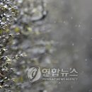 남촌도림동-17 이미지