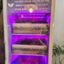 [유쾌한낙지 태화강국가정원본점] 내돈내산 후기 : 울산 태화강 낙지볶음, 보쌈