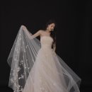 누보 nuvo 이미지