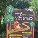 아랫대티 숲 이미지