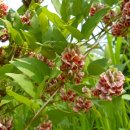 연님농장 이미지