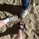 다낭 [미케비치] / 얼음컵 판매하는 [하이마트] / [스타벅스 네스타호텔] 방문 후기
