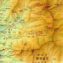 비들산정상 Daum카페