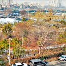 오금4로 이미지