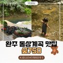 모오리펜션 | 완주 동상계곡 맛집 숲750 내돈내산 단체식사 및 물놀이 솔직후기