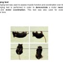 파킨슨병 치료 한약추출물 ‘Hepad s7’ 미국 특허 획득 이미지