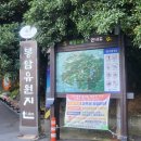 봉암수퍼 이미지