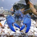 대양유화 이미지