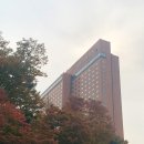 신라호텔 이미지