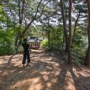 식파정 이미지