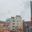 이니스프리남포 | 남포역맛집 원산면옥, 블루리본 5관왕 빛나는 남포동냉면 솔직후기
