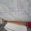 진전면100 이미지