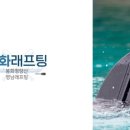 영남래프팅