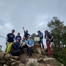 제958회 정기산행 대구 팔공산 이미지