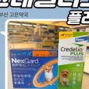 양정플러스약국 이미지