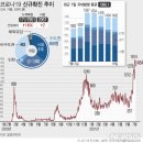 주점31.6