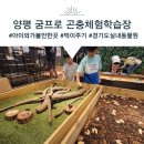 사슴출강농장 | 경기도실내동물원 #굼프로 곤충체험학습농장