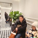 비엔나 투어 호프부르크왕궁에서 그라벤거리 명품거리 슈테판대성당 쇤부른궁까지