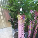 제이투빌리어즈