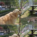 다독다독 이미지