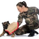 미래애견 이미지