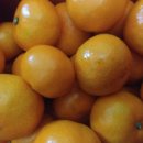 보미농장 이미지