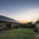 눈먼고래 이미지