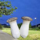 으랏차 주먹고기 이미지