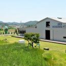 천북목장 | 천북 우유창고 체험 솔직후기! 두 번은 안 간다?!