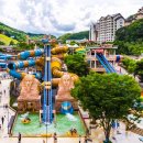 여주-0123 | 물놀이와 휴식을 한 번에! 올여름 휴가지는 워터파크 리조트